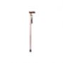 plastic handled walking stick with engraved pattern